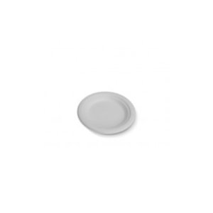 white disposable plate