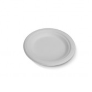 white disposable plate
